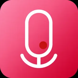 Audio Recorder Lite - free browser extension